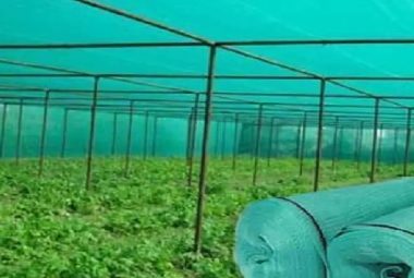 patel-tarpaulins-ropes-agro-shade-net-monsoon-shed-dealers-vashi-mumbai-img-featured-product-000012